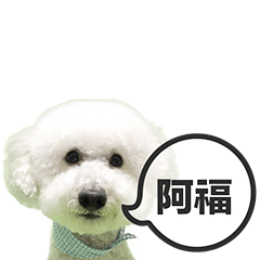 [LINEスタンプ] A-fu