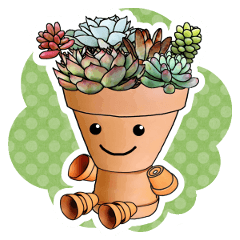 [LINEスタンプ] 多肉植物の寄せ植え！はちぼー