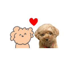 [LINEスタンプ] モコモコなまいにち