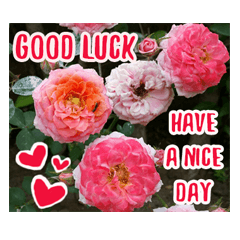 [LINEスタンプ] For u my lovely