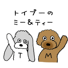 [LINEスタンプ] トイプーのミー＆ティー