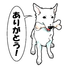 [LINEスタンプ] ホワイトシェパード、母＆パピ’sの日常