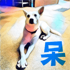 [LINEスタンプ] White Dog XD