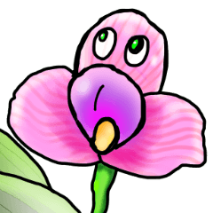 [LINEスタンプ] 洋ラン・わーるど fetchpriority=high