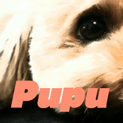 [LINEスタンプ] I am pupu A