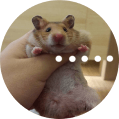 [LINEスタンプ] Hamster's Daily - Satisfiy all your Life