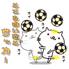 [LINEスタンプ] とても白い猫とサッカーの画像（メイン）
