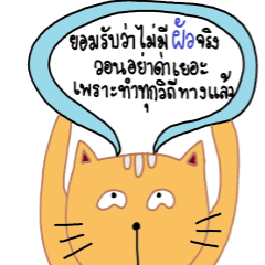 [LINEスタンプ] lady cat meow meow