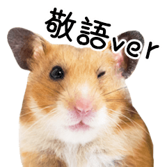 [LINEスタンプ] ゴールデンハムスター小麦さん 敬語ver