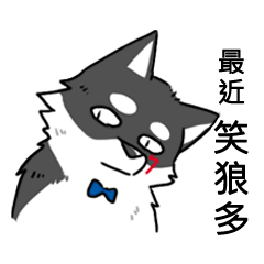 [LINEスタンプ] Taromaru-The black one