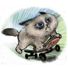 [LINEスタンプ] Momo the Cat.