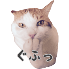[LINEスタンプ] Oyaji neco