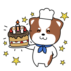 [LINEスタンプ] 柴犬の誕生日お祝いスタンプ