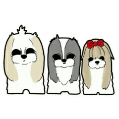 [LINEスタンプ] Happy cute shih tzu dog