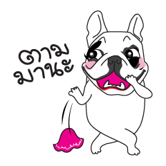 [LINEスタンプ] Chubby Chaba