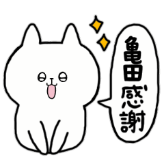 [LINEスタンプ] 全国の【亀田】さんのためのスタンプ