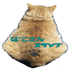 [LINEスタンプ] ばこさんスタンプ