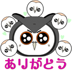 [LINEスタンプ] 大人気フクロウとハリネズミ