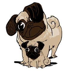 [LINEスタンプ] Hoppi and Lil Hoppee