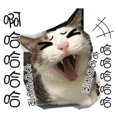 [LINEスタンプ] meow...real cat！！！