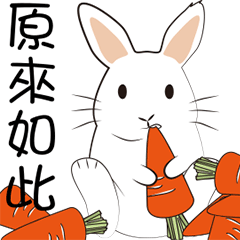 [LINEスタンプ] The daily routine of rabbitsの画像（メイン）