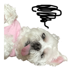 [LINEスタンプ] Blind dog FatLily 2