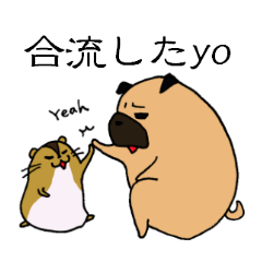 [LINEスタンプ] お茶目なパグの待ち合わせ