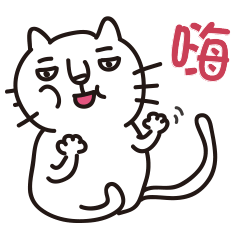 [LINEスタンプ] Hello White Kitten