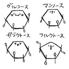 [LINEスタンプ] グルコースちゃん 