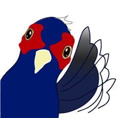 [LINEスタンプ] Byrd's daily life