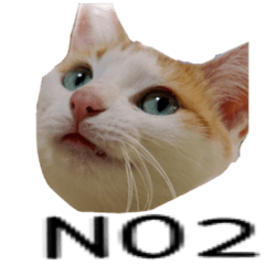 [LINEスタンプ] ナビとモコ(うちネコ)