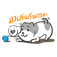 [LINEスタンプ] Miso ＆ Moomin