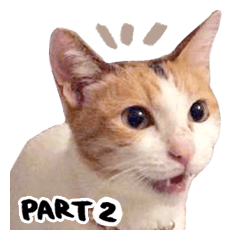 [LINEスタンプ] Money is a CAT Part.2