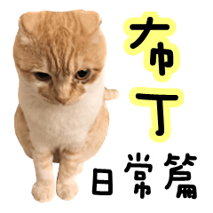 [LINEスタンプ] Ding-Ding cat