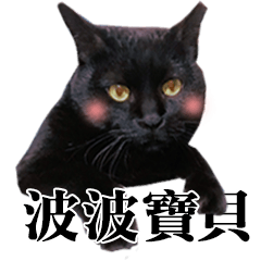 [LINEスタンプ] BOBO Family Daily