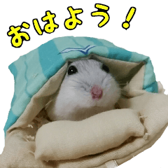 [LINEスタンプ] ハムスターのダイコク