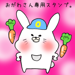 [LINEスタンプ] おがわさん専用スタンプ