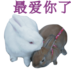 [LINEスタンプ] Rabbit and Cute Animals [Simplified ]