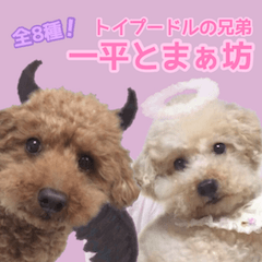 [LINEスタンプ] 一平とまぁ坊