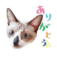 [LINEスタンプ] テトとロクの日常スタンプ
