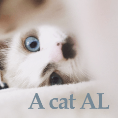 [LINEスタンプ] A cat AL 2