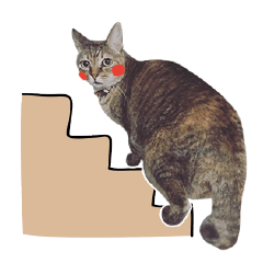 [LINEスタンプ] Mimier's Daily