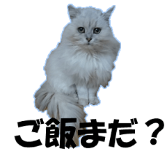 [LINEスタンプ] ララ