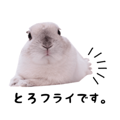 [LINEスタンプ] とろ日和