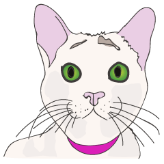 [LINEスタンプ] Cat_Story