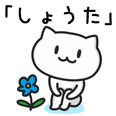 [LINEスタンプ] 「しょうた」さんが使うネコのスタンプ