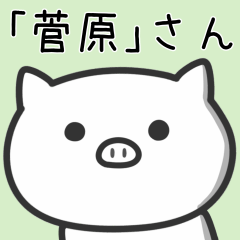 [LINEスタンプ] 菅原さんが使うブタのスタンプ