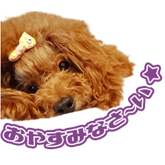 [LINEスタンプ] SK様の愛犬のスタンプ