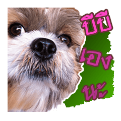 [LINEスタンプ] My dog.