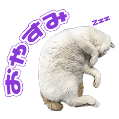 [LINEスタンプ] EO様の猫ちゃんのスタンプ